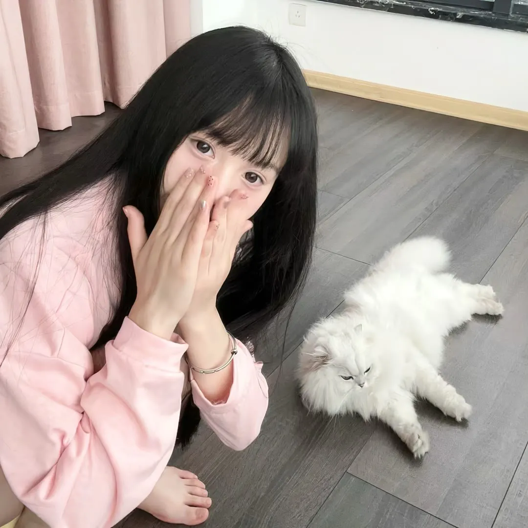 初入职场·机长季